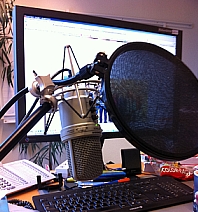 Das Bild zeigt ein Mikrofon mit Popfilter vor einem Computerbildschirm. Es handelt sich um Material zur Durchführung eines Webinars. – 